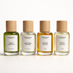 The First Chapter Collection: Four Seasons Edition